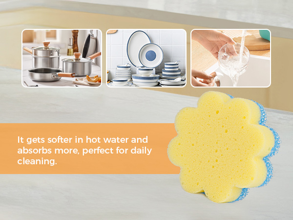cleaning sponges