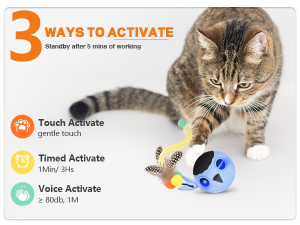 cat toy