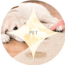 Pet