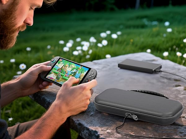 nintendo switch 2 carrying case