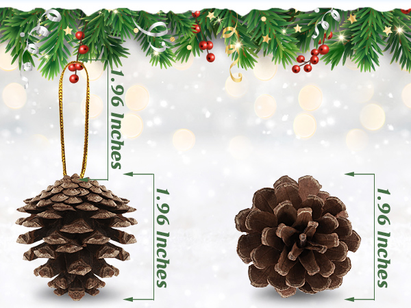 pinecones