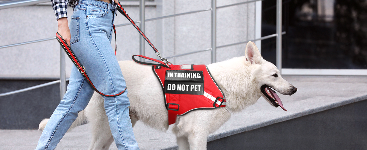 easy contral dog leash and harness red