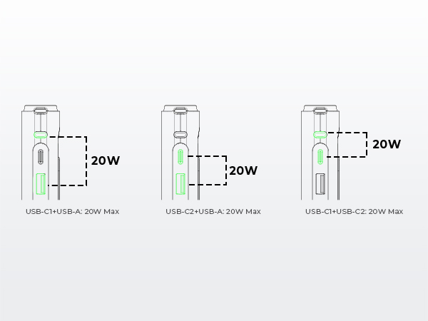 pb 100w- two port output