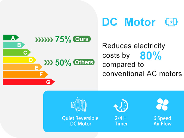 DC Motor