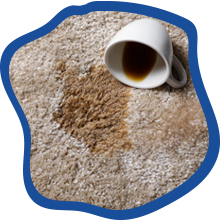 Stain treater spray for carpet and rug stains caused by everyday spills