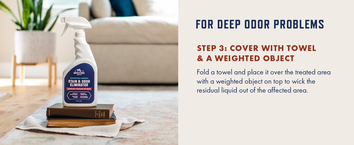 pet stain and odor remover