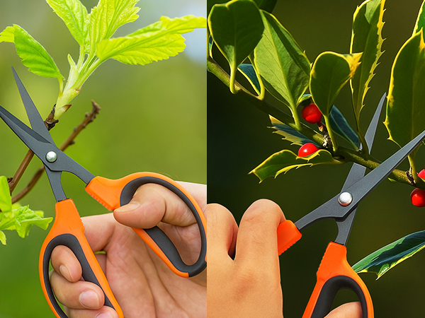 garden scissors