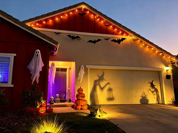 Outdoor Spotlights for Yard