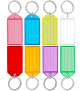 Uniclife 20 Pack Tough Plastic Key Tags with Split Ring Label Window, Assorted Colors