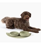 alimentador automático lickimats beginner feedee intermediate fillable inserts portion control deep