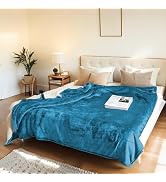 Electric Heated Blanket Full Size 72