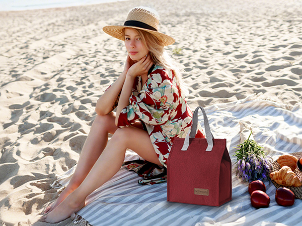 Tellumo Minimalist Lunch Bag
