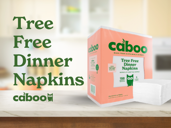 paper towels rolls camping essentials napkins disposable charcuterie accessories bamboo toilet paper