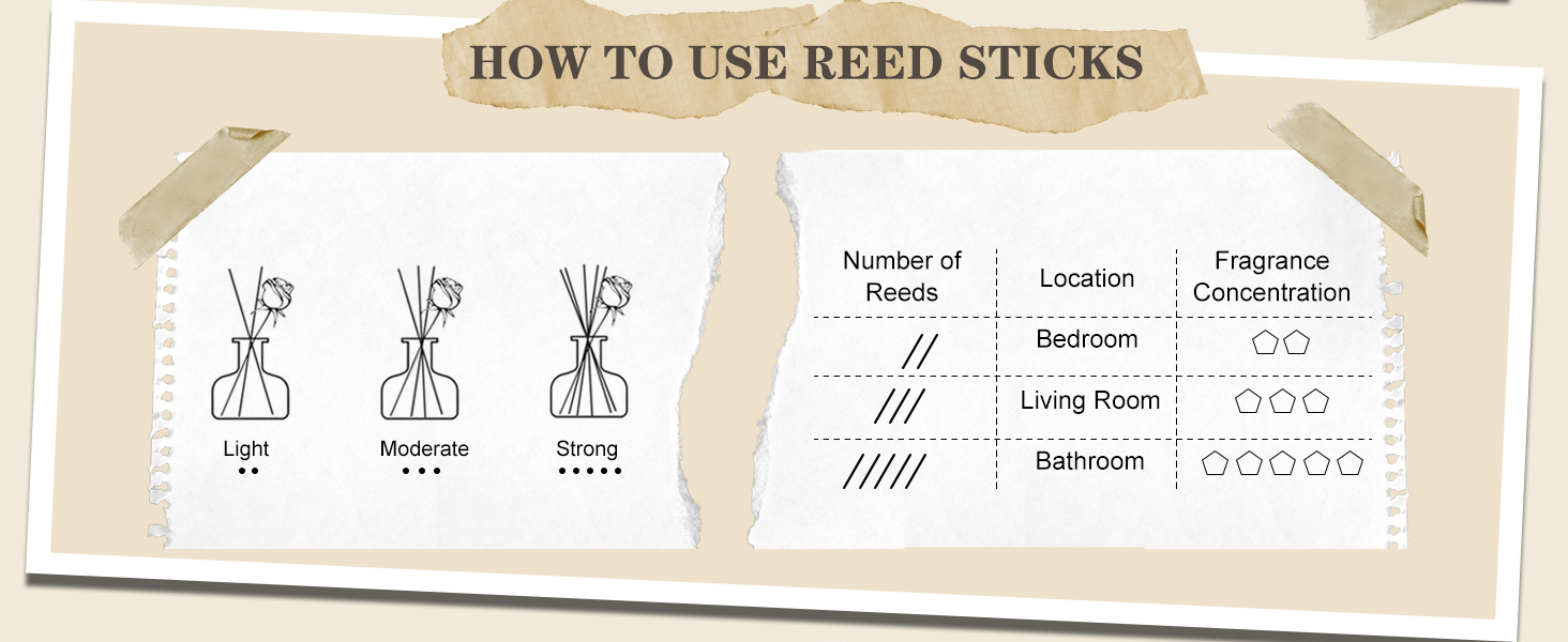 Reed Diffuser Set