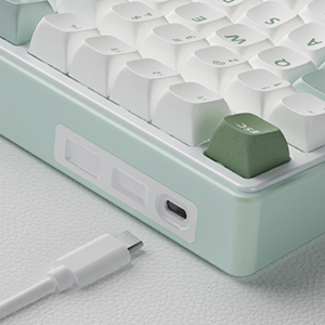 Detachable USB-C Cable