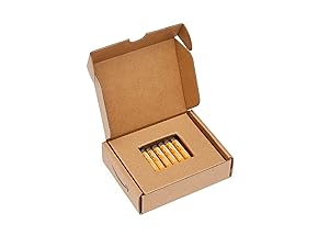 Everyday Alkaline Batteries