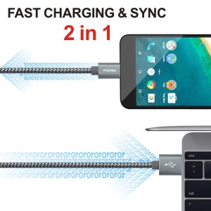 fast charge