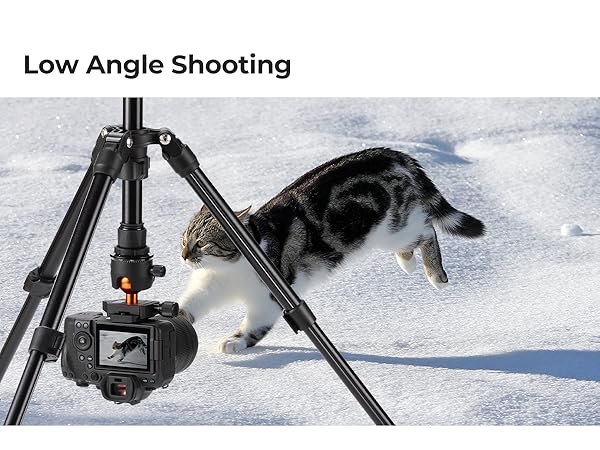 Text reads 'Low Angle Shooting'. Series of winter photography scenes showing camera equipment being used in snow conditions.
