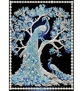 DIADAY Peacock Pearl Diamond Painting Kit for Adults, Diamond Art 12x16 in | 3D Relief Pearl Diam...