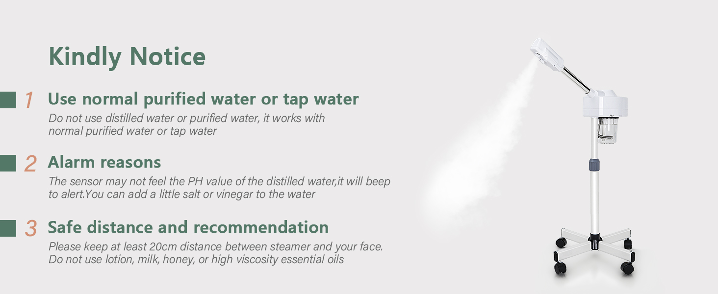 facial steamer