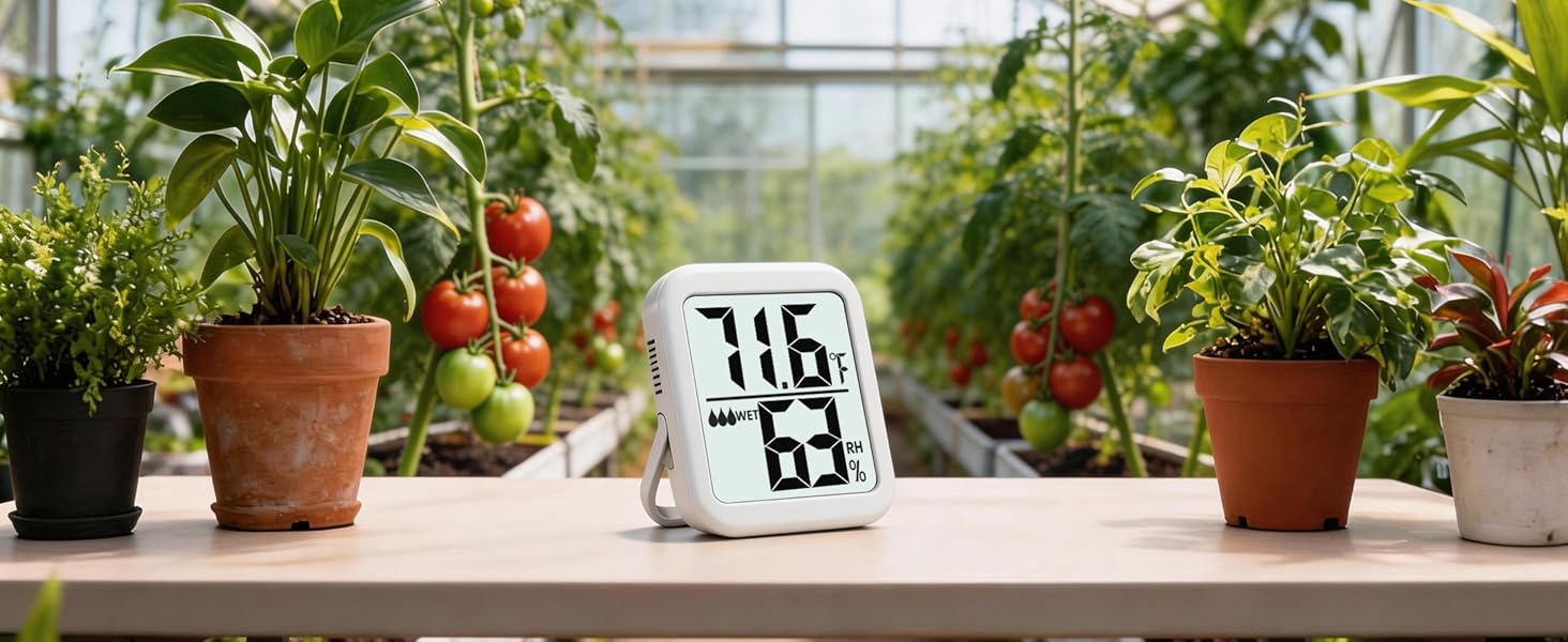 indoor thermometer