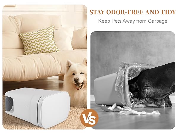 garbage can with lid, stay odor-free and tidy, keep pets (cat, dog) away from garbage