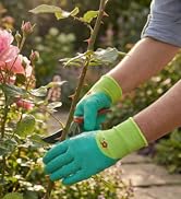 woman gloves