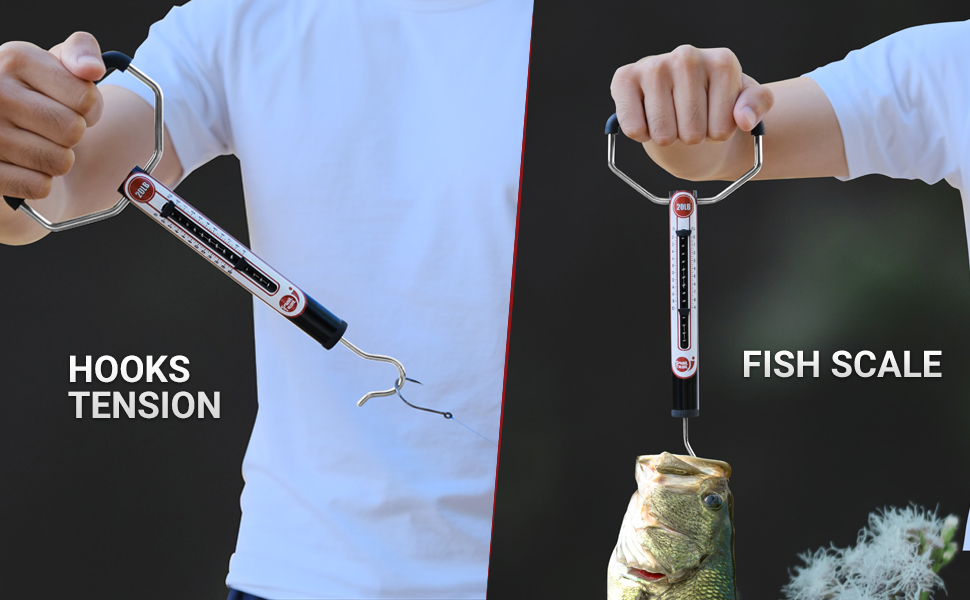 HOOKS TENSION/FISH SCALE
