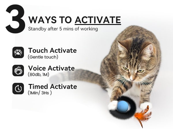 cat toys