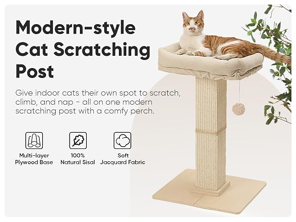 cat scratching post with bed