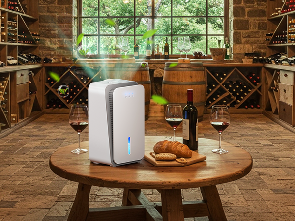 dehumidifier for bathroom