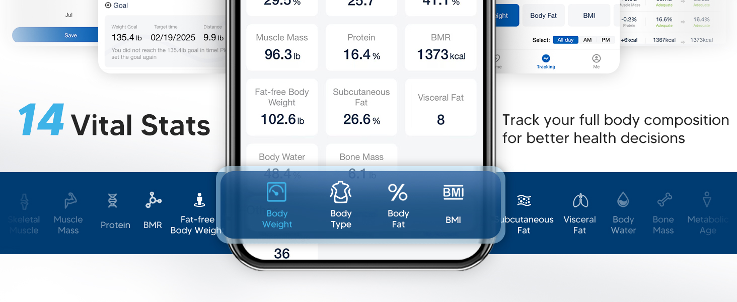 scale for body weight and fat percentage