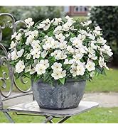 Besteek 6 Pcs Artificial Flowers for Outdoors Fake Silk Periwinkle Flowers Faux Plants UV Resista...