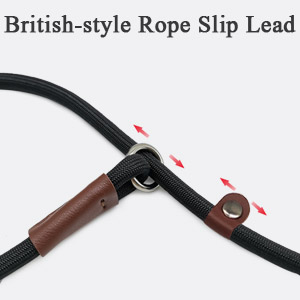 slip leash
