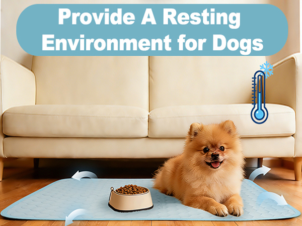 Cooling Dog Blanket
