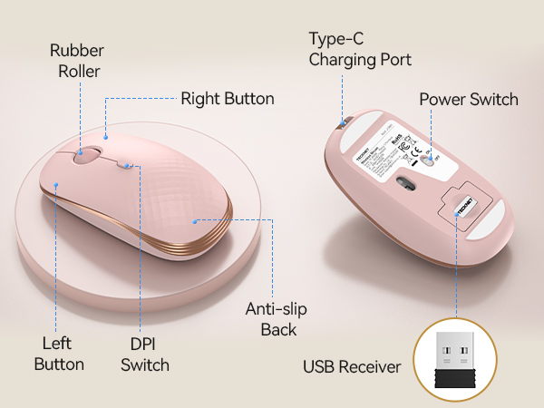 mouse