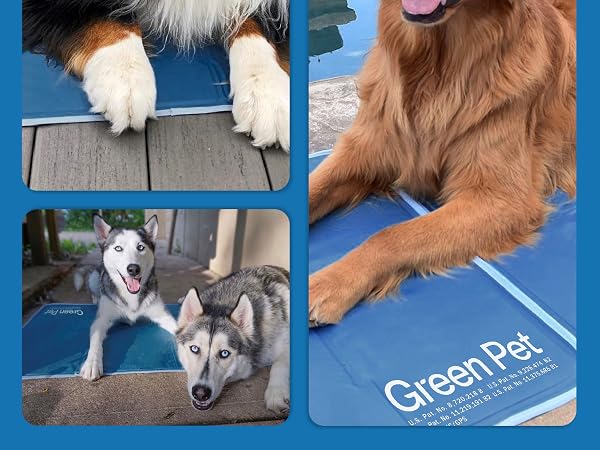 cool pet pad