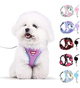 Coppthinktu Dog Harness with Leash Set for Small Sized Dogs Cats, No Pull Dog Harness Soft Mesh C...