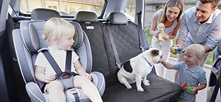 https://m.media-amazon.com/images/S/aplus-media-library-service-media/5c0c94d7-ac1a-4103-bc90-ef20b667689c.__CR0,116,800,368_PT0_SX315_V1___.jpg