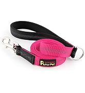 Plutus Pet Double-Sided Reflective Nylon Dog Leash, Soft Padded Handle for Comfort, 6 FT/5 FT/4 F...