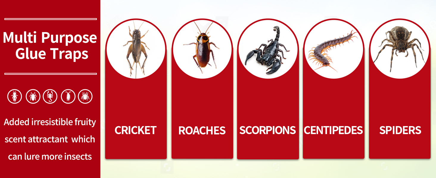 Bug Sticky Traps - Non-Toxic Extra Sticky Glue Traps for Bugs