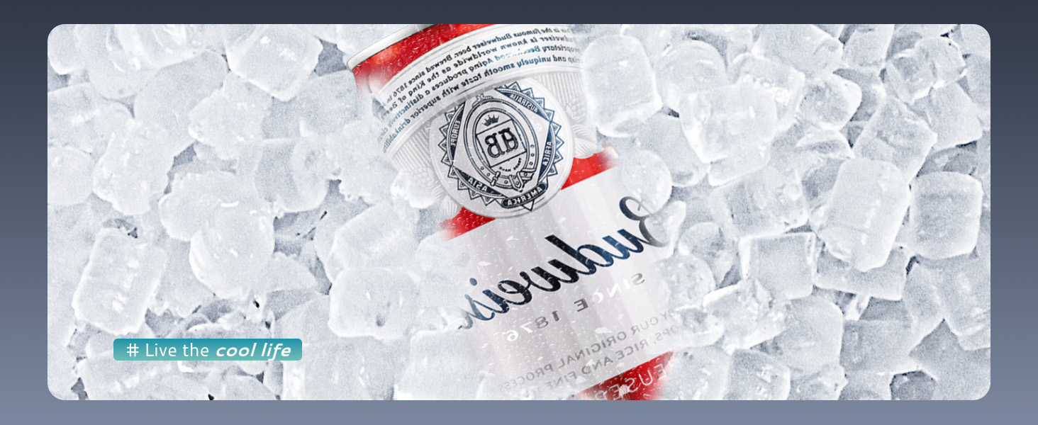 nugget ice maker5-4