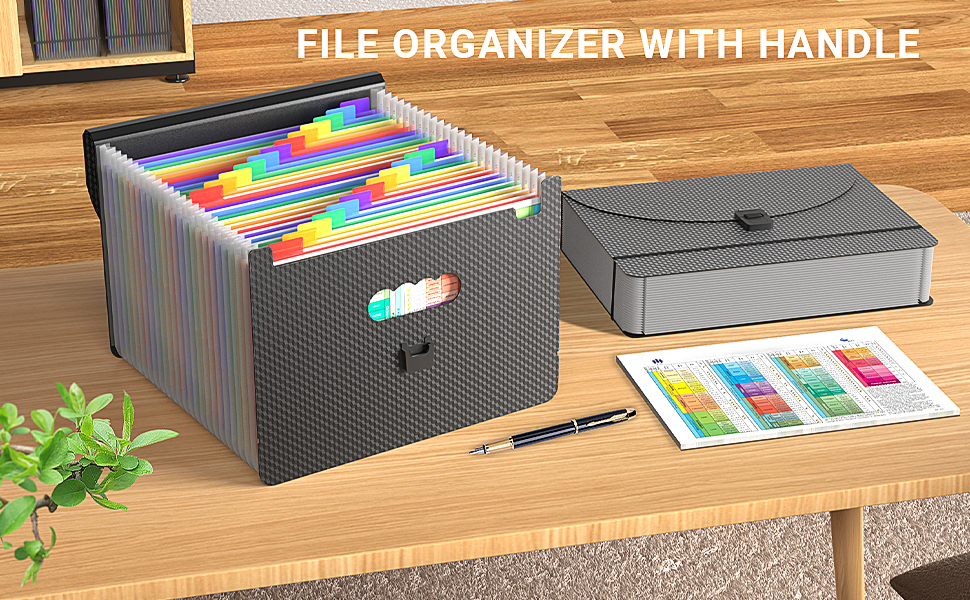 FILE ORGANIZER