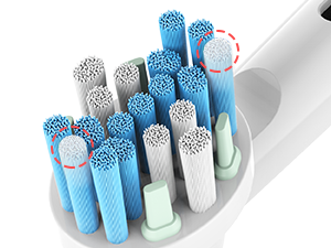 Toothbrush Heads