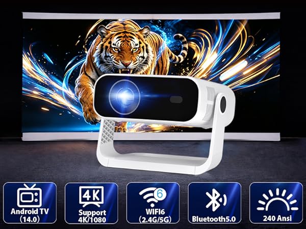 mini projector