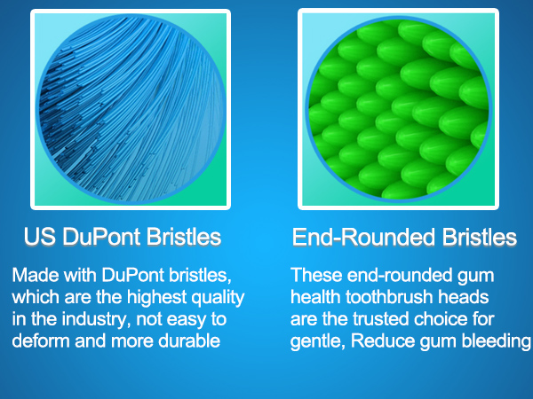 oral b io replacement heads