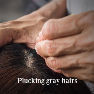 plucking gray hairs