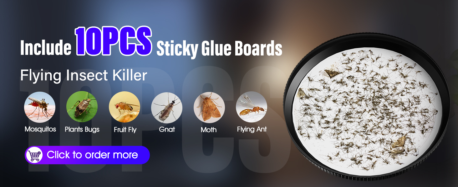 Sticky Glue Boards