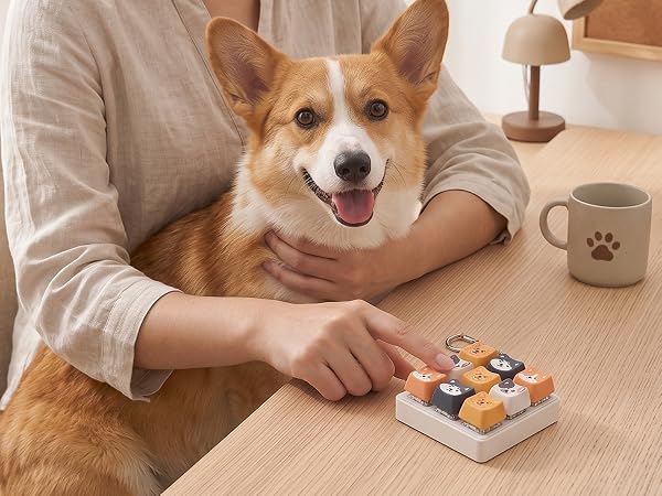 9-in-1 Dog Keyboard Fidget