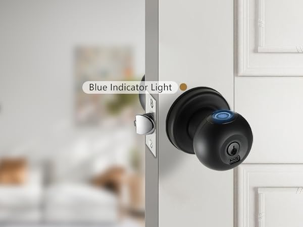 Blue indicator Light